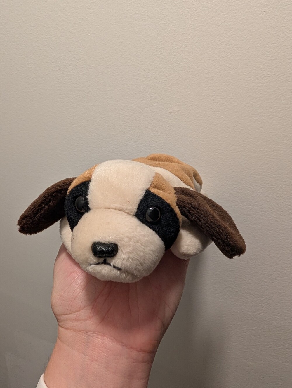 "Bernie" Ty Beanie Baby Plush St Bernard Dog